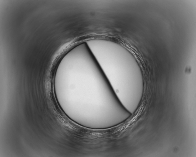 X0000100350149200806060808