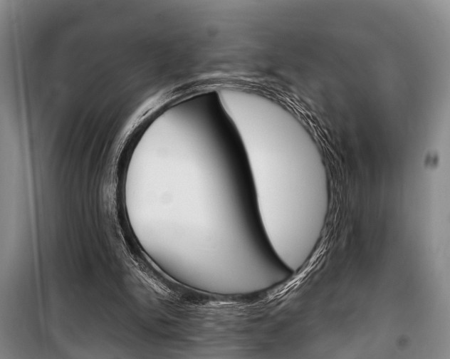 X0000100350150200806060808