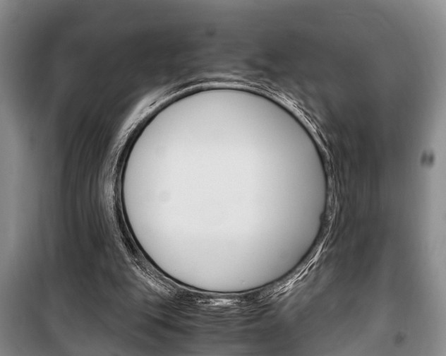X0000100350151200806060808