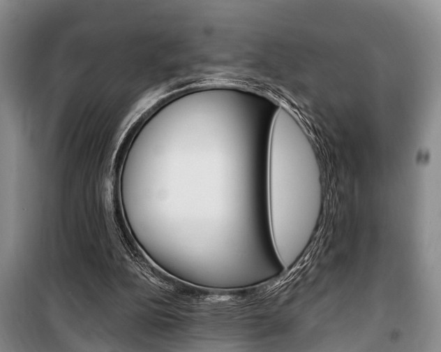 X0000100350152200806060808