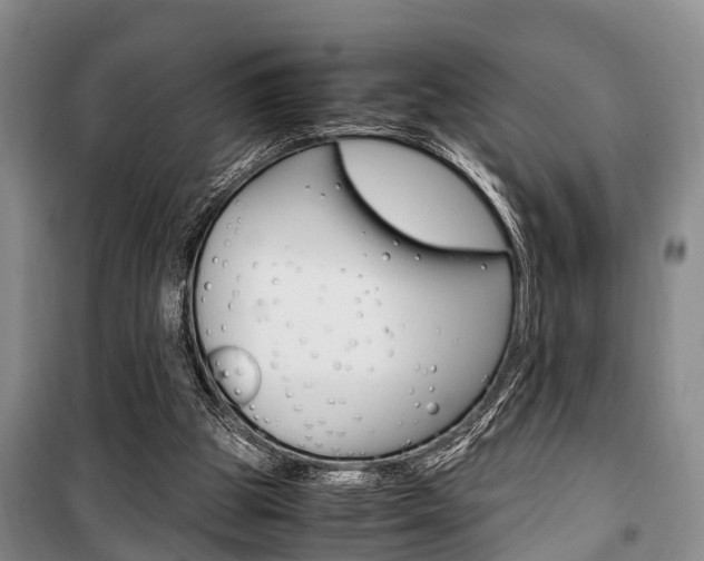 X0000100350153200806060808