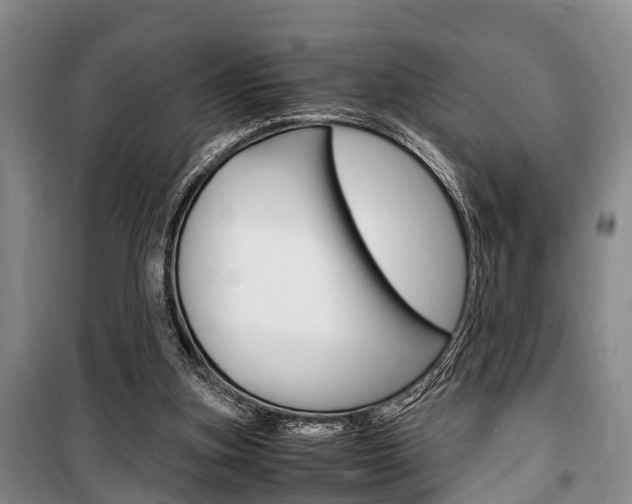 X0000100350155200806060808