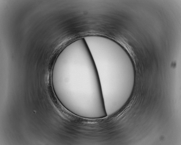 X0000100350157200806060808