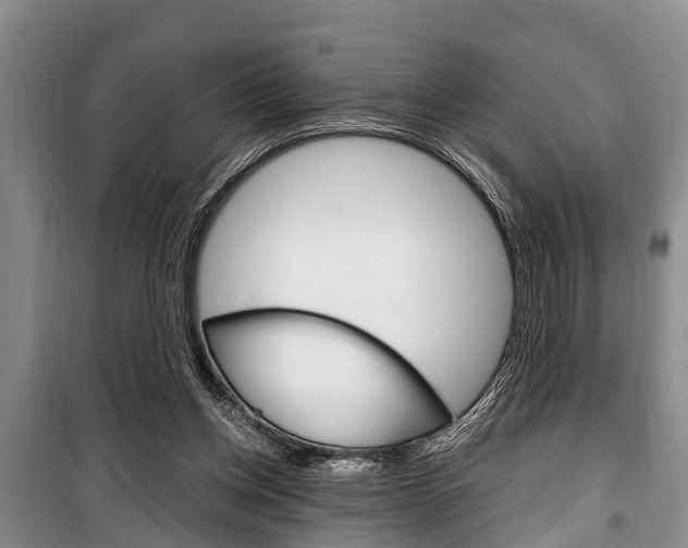 X0000100350158200806060808