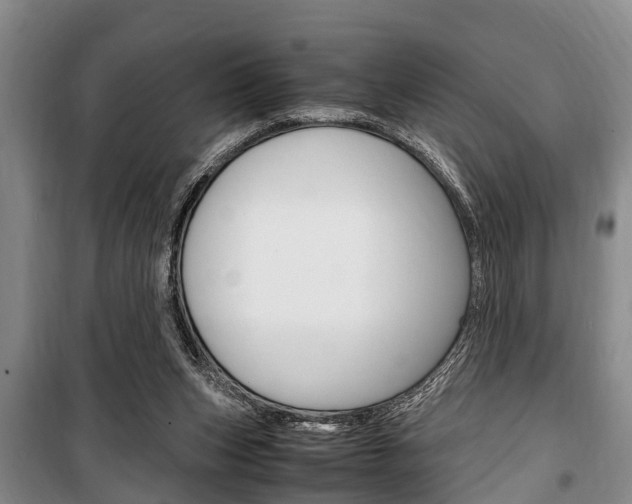 X0000100350159200806060808