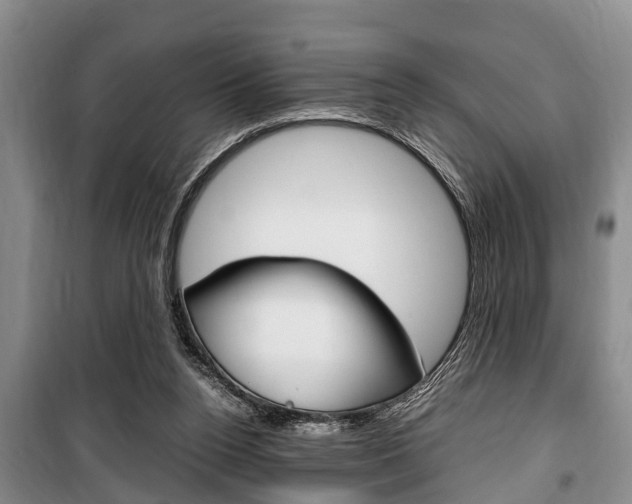 X0000100350160200806060808