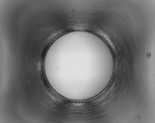 X0000100350161200806060808
