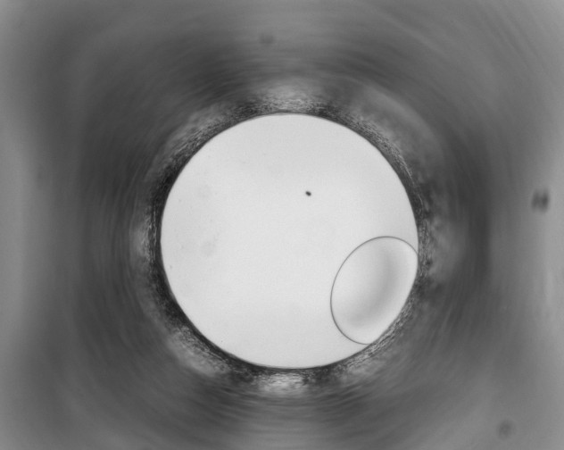 X0000100350162200806060808