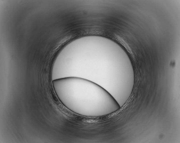 X0000100350163200806060808