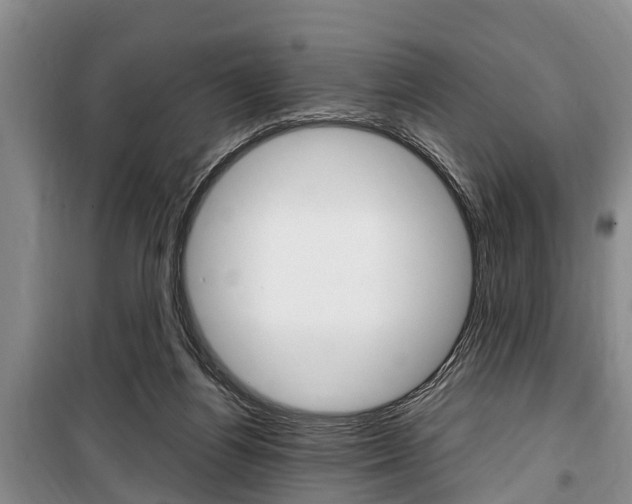 X0000100350164200806060808