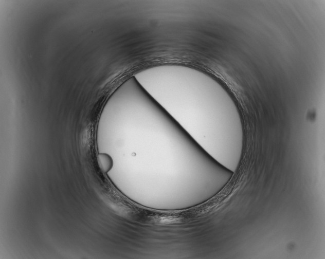 X0000100350165200806060808