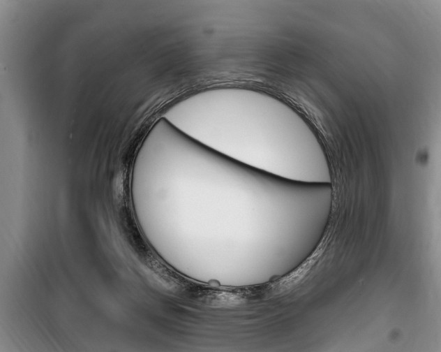 X0000100350166200806060808