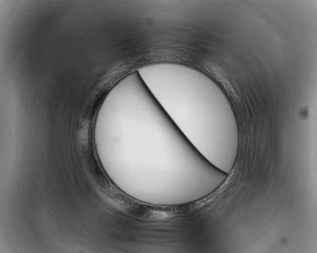 X0000100350167200806060808