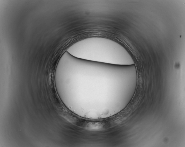 X0000100350169200806060808