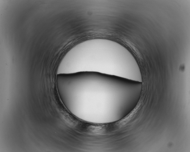 X0000100350170200806060808