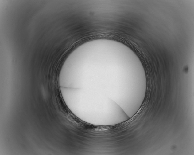 X0000100350172200806060808