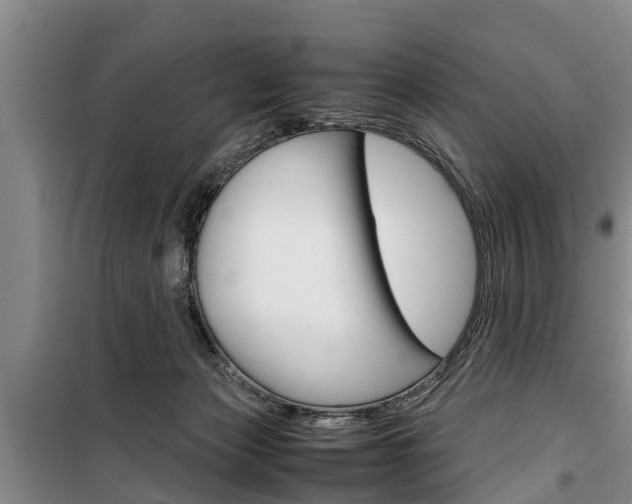 X0000100350173200806060808