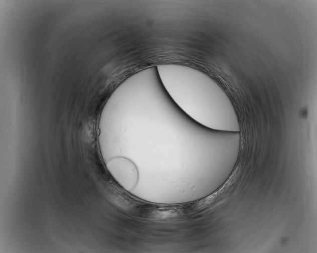 X0000100350175200806060808