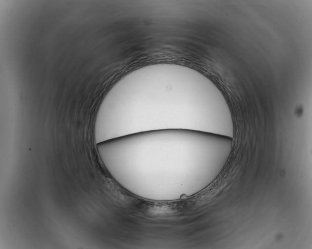X0000100350177200806060808