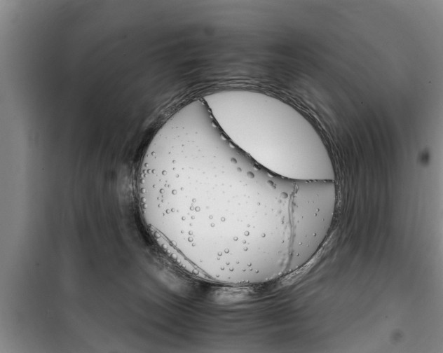 X0000100350179200806060808