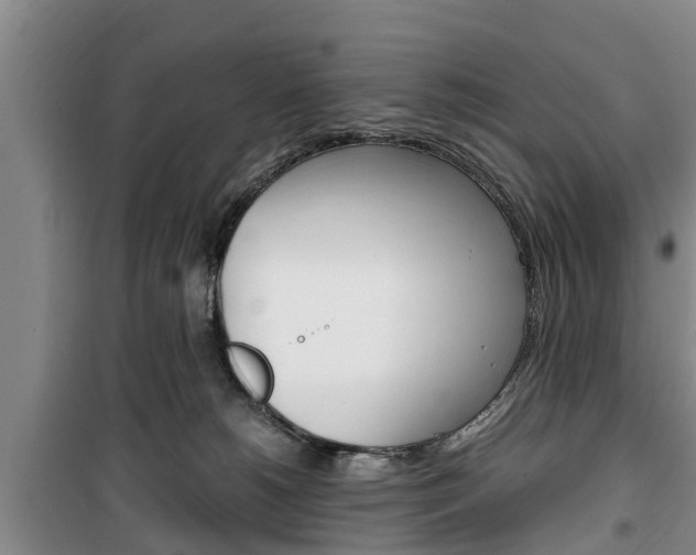 X0000100350180200806060808