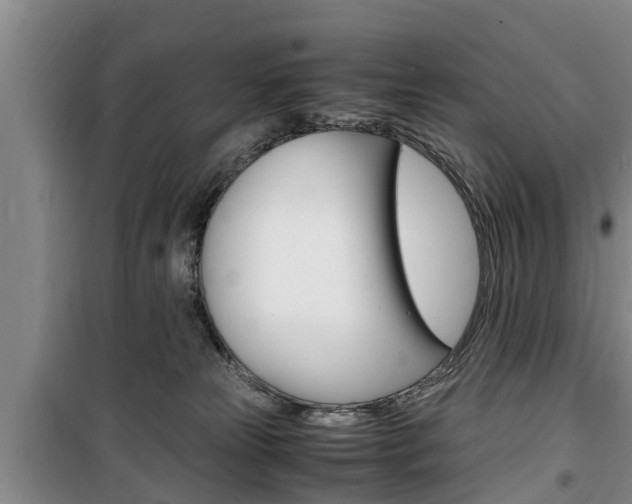 X0000100350181200806060808