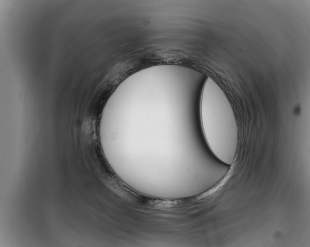 X0000100350182200806060808