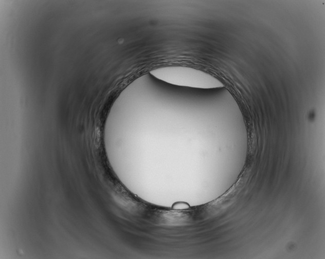 X0000100350183200806060808