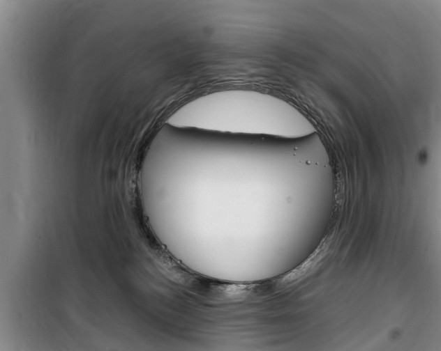 X0000100350184200806060808