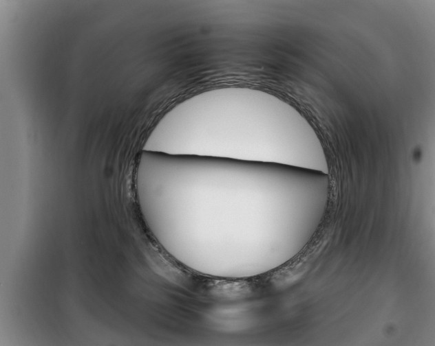 X0000100350185200806060808