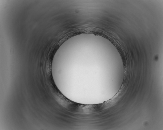 X0000100350186200806060808