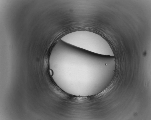 X0000100350188200806060808
