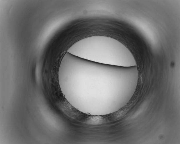 X0000100350189200806060808
