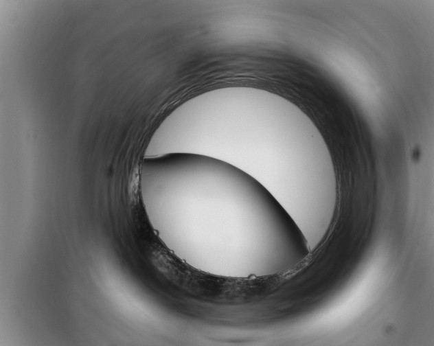 X0000100350190200806060808