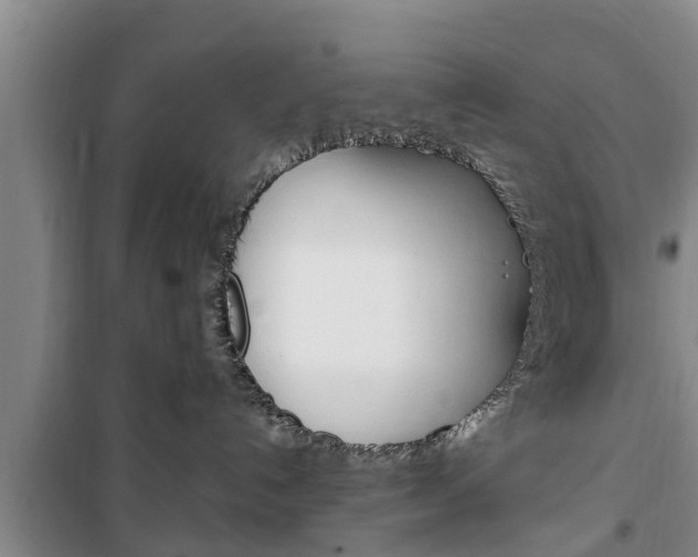 X0000100350192200806060808