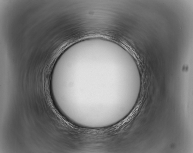 X0000100350193200806060808