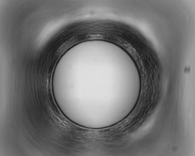 X0000100350194200806060808