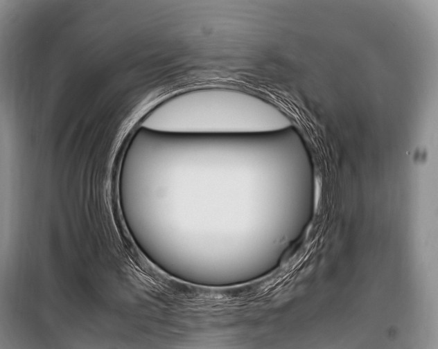 X0000100350195200806060808