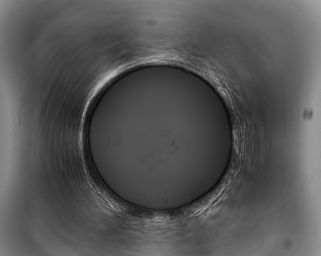 X0000100350196200806060808