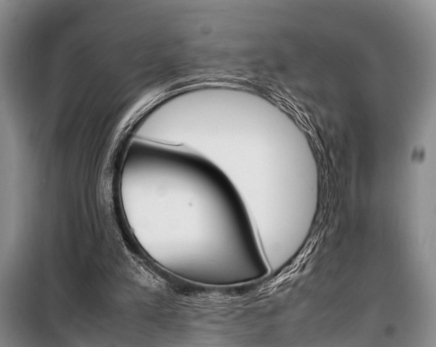 X0000100350197200806060808