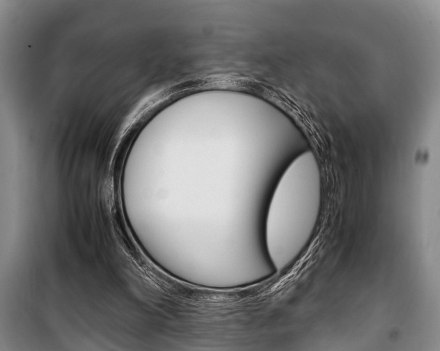 X0000100350198200806060808