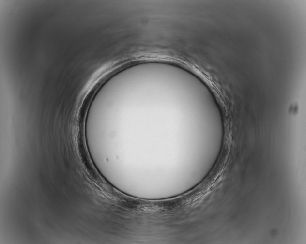 X0000100350199200806060808
