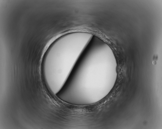 X0000100350200200806060808