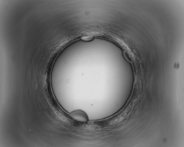 X0000100350201200806060808