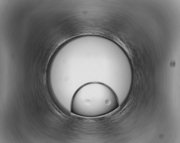 X0000100350203200806060808