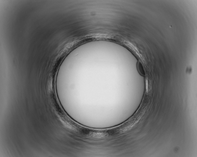 X0000100350205200806060808