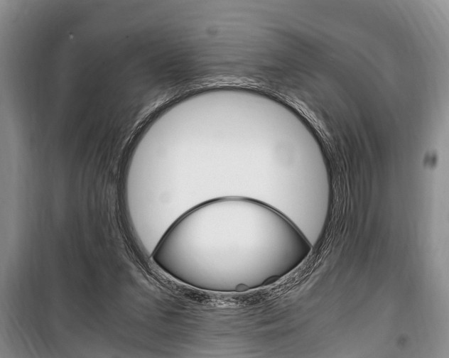 X0000100350207200806060808