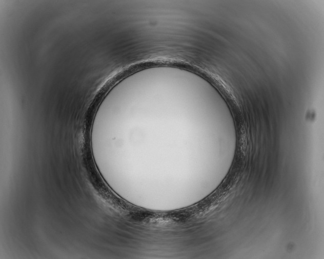 X0000100350208200806060807