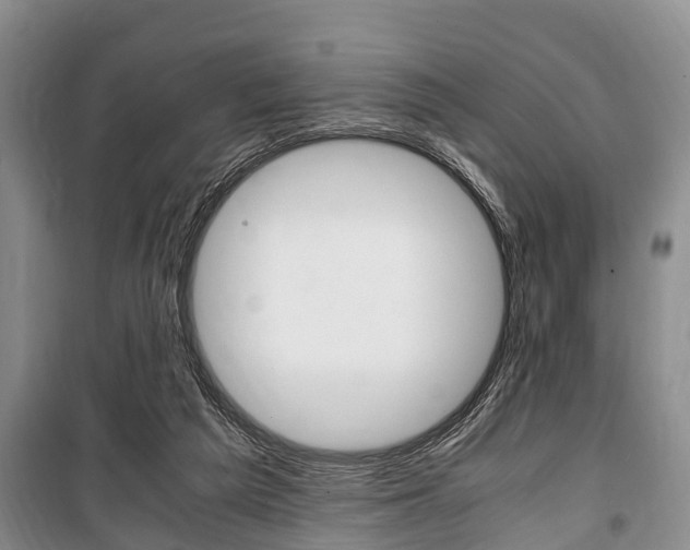 X0000100350209200806060807