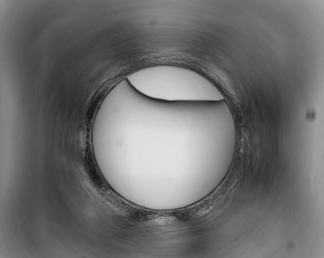 X0000100350210200806060807